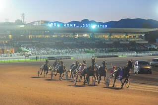 Horse Racing in Cannes