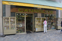 Cannolive