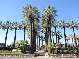 Beautiful Parks in Cannes