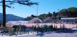 Tennis Courts in and around cannes
